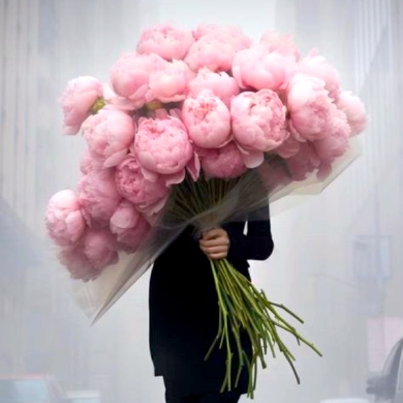 Meet your Posher, Lana - Picture 1 of 1